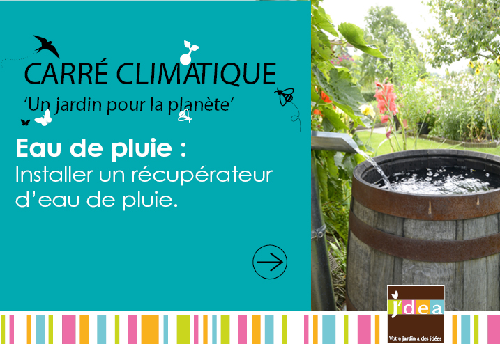 Carré Climatique - Eau de pluie : installer un récupérateur d'eau de pluie !